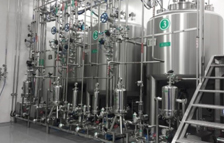 Tanque de proceso de parentales de gran volumen